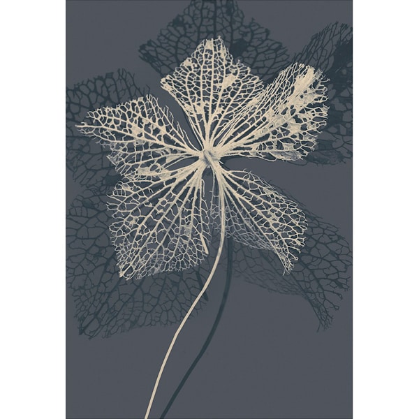 Ian Winstanley Stem Silhouette IV Print 40cm x 30cm Kräm/Grå Cream/Grey 40cm x 30cm