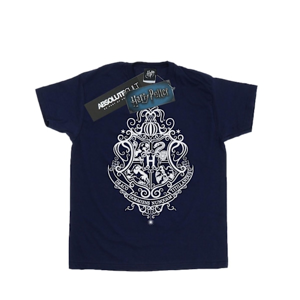 Harry Potter Boys Hogwarts Draco Dormiens Crest T-shirt 9-11 år Navy Blue 9-11 Years