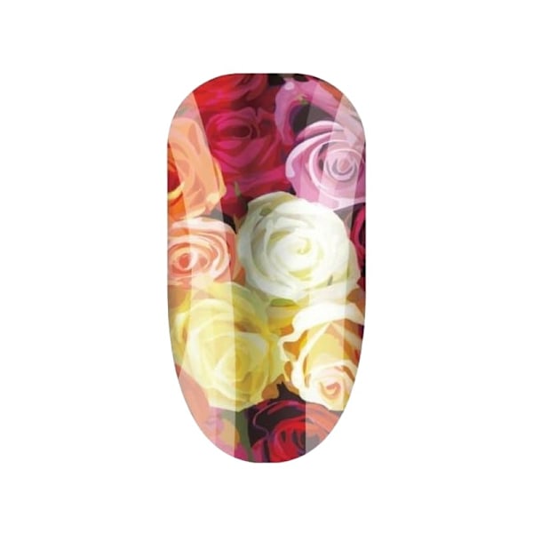 Bunches Of Love Roses Nagelomslag En Storlek Flerfärgad Multicoloured One Size