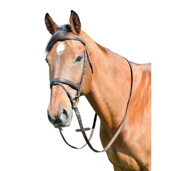 Kincade Classic Raised Flash Läder Hästgrimma Med Tyglar Cob Brun Brown Cob