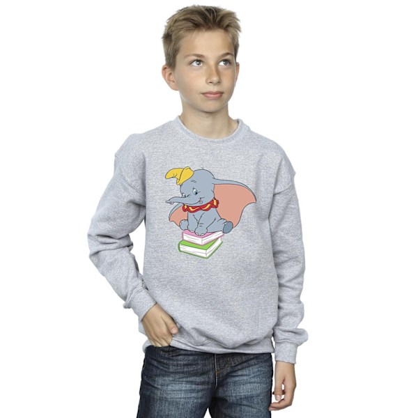 Disney Boys Dumbo Sitting On Books Sweatshirt 9-11 År Sport Sports Grey 9-11 Years