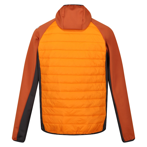 Regatta Herr Andreson VIII Hybrid Jacka S Orange Pepper/Burnt Orange Pepper/Burnt Copper S