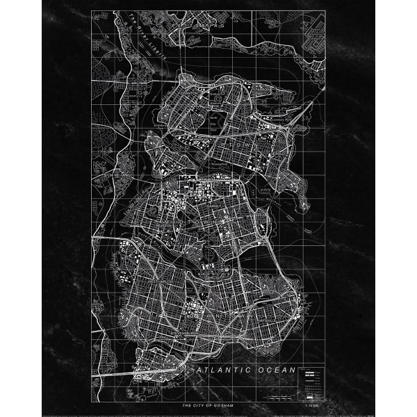 Batman Gotham City Paper Print 50cm x 40cm Svart/Vit Black/White 50cm x 40cm