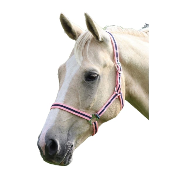 Wessex Horse Headcollar hel rosa/marinblå Pink/Navy Full