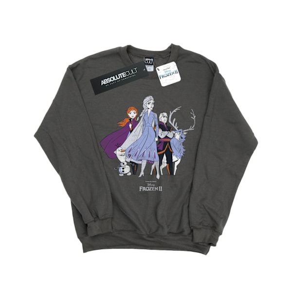 Disney Herr Frozen 2 Distressed Group Sweatshirt M Charcoal Charcoal M