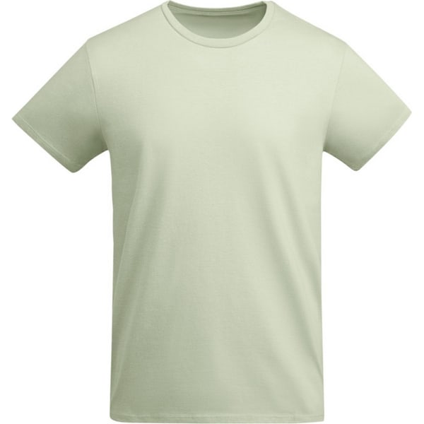 Roly Barn/Barn Breda T-shirt 11-12 år Mist Green Mist Green 11-12 Years