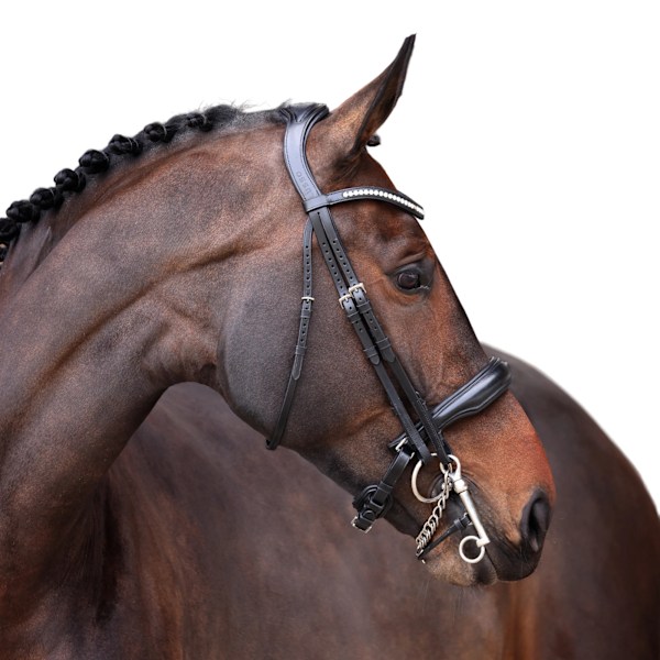Velociti Lusso Elite Läder Dubbel Hästgrimma Cob Svart Black Cob