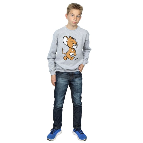 Tom och Jerry Boys Angry Mouse Cotton Sweatshirt 12-13 Years Sp Sports Grey 12-13 Years