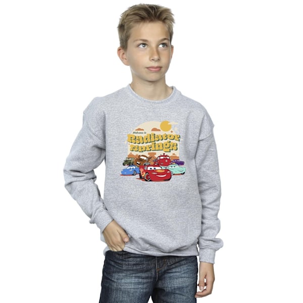 Disney Boys Cars Radiator Springs Grupptröja 9-11 År S Sports Grey 9-11 Years