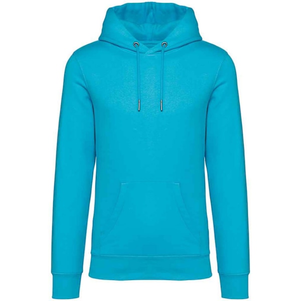 Native Spirit Unisex Vuxen Heavyweight Hoodie XS Ljus Turkos Light Turquoise XS