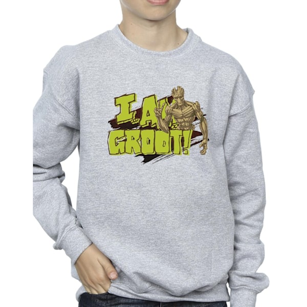 Guardians Of The Galaxy Boys I Am Groot Sweatshirt 7-8 År Sp Sports Grey 7-8 Years