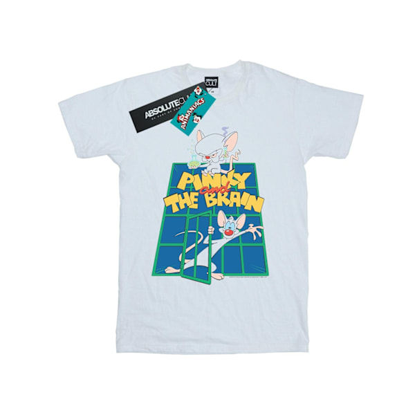 Animaniacs Herr Pinky And The Brain Laboratory T-shirt 4XL Vit White 4XL