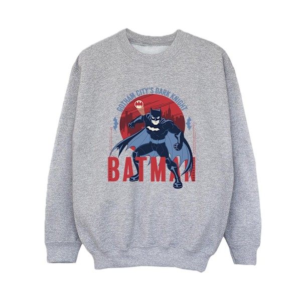 DC Comics Boys Batman Gotham City Sweatshirt 5-6 år Sports G Sports Grey 5-6 Years