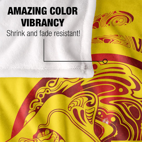 Harry Potter Gryffindor Abstrakt Filt One Size Flerfärgad Multicoloured One Size