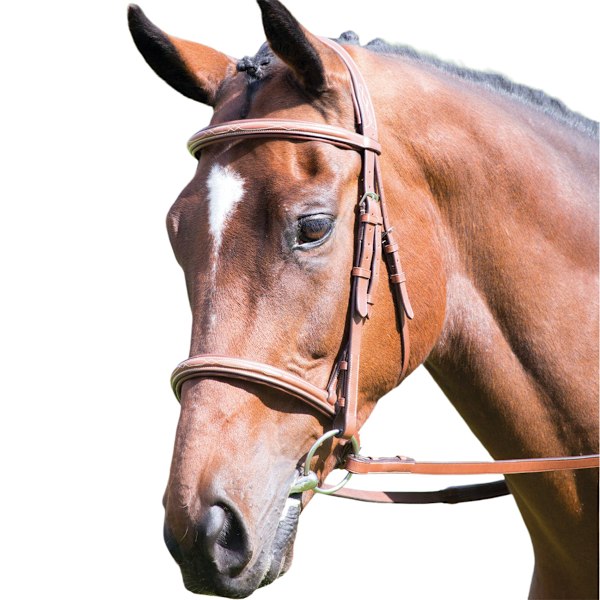 Avignon Läder Häst Cavesson Bridle Cob Ek Brun Oak Brown Cob