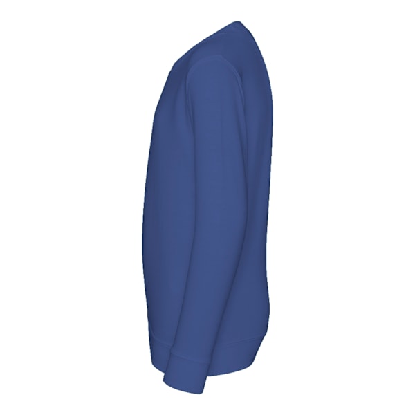 AWDis Just Hoods Barn/Kids Enfärgad Sweatshirt med Rund Hals 7-8 Royal Blue 7-8 Years