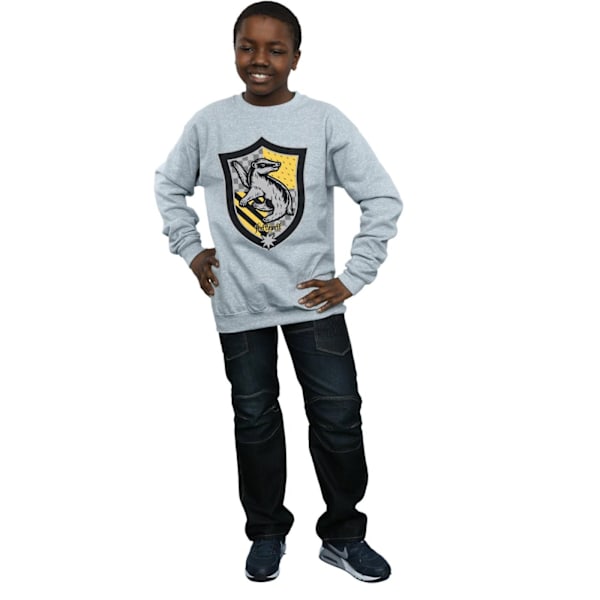 Harry Potter Pojkar Hufflepuff Crest Flat Sweatshirt 12-13 År Sports Grey 12-13 Years