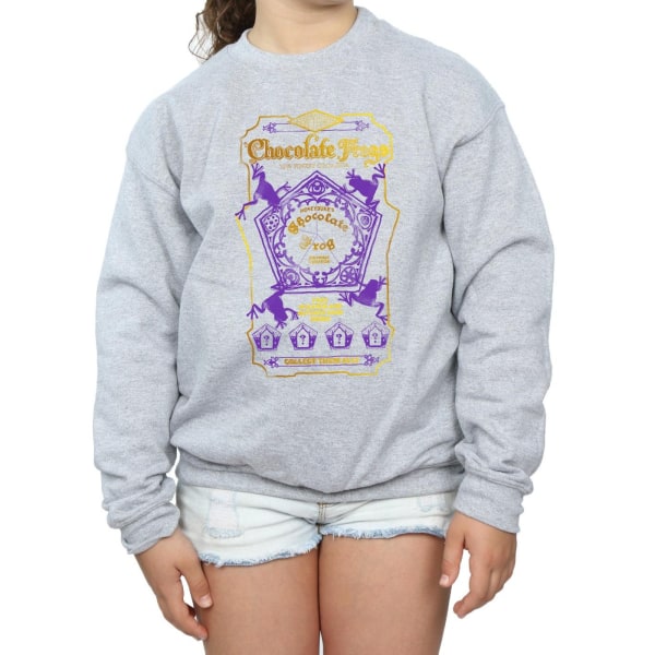 Harry Potter Girls Chocolate Frogs Färgad Etikett Sweatshirt 12 Sports Grey 12-13 Years