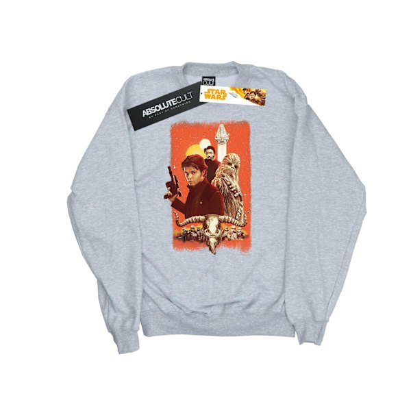 Star Wars Dam/Damer Solo Trio Måla Sweatshirt M Sports Grå Sports Grey M