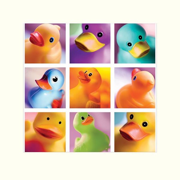 Ian Winstanley Anka Familj Porträtt Tryck 40cm x 40cm Multicol Multicoloured 40cm x 40cm