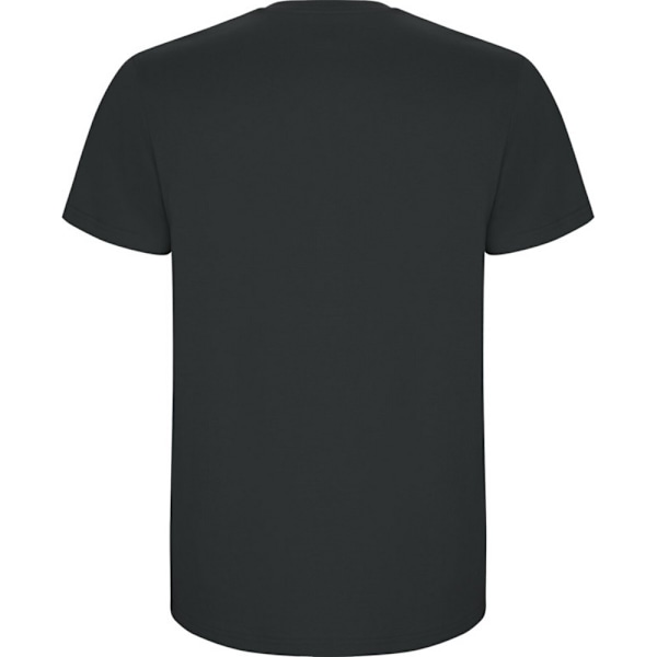 Roly Stafford T-shirt M Mörk Bly Dark Lead M