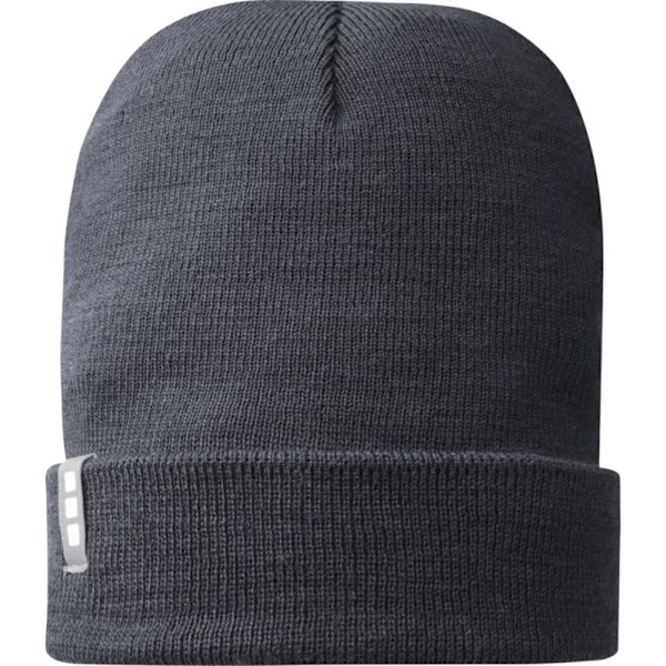 Elevate Unisex Vuxen Hale Polylana Mössa One Size Storm Grey Storm Grey One Size