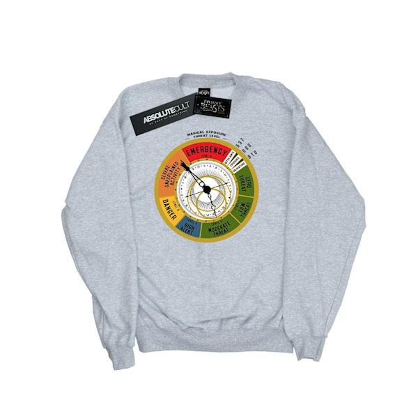 Fantastic Beasts Boys Threat Level Sweatshirt 9-11 år Sport Sports Grey 9-11 Years