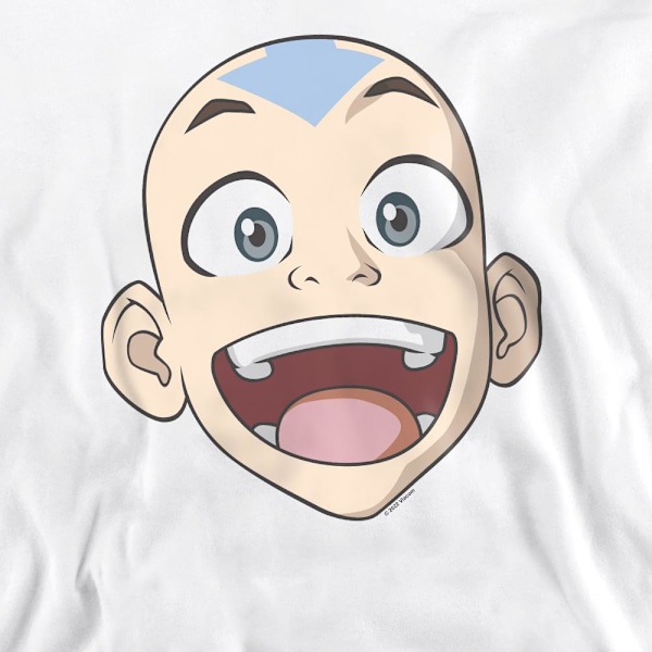 Avatar: The Last Airbender Unisex Vuxen Aang Stor Ansikte Sweatshirt White XL