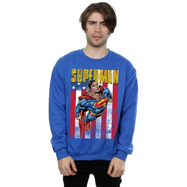 Superman Herr Flight Sweatshirt S Kungsblå Royal Blue S