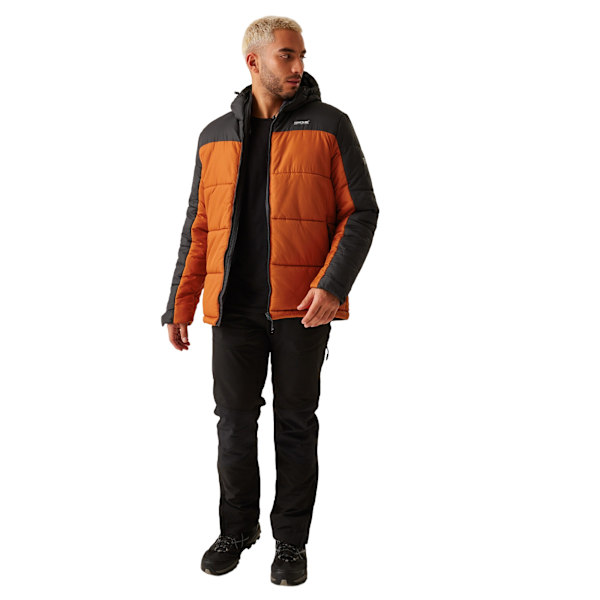 Regatta Herr Nevado VII Isolerade Vadderad Jacka XL Bränd Koppar Burnt Copper/Ash XL