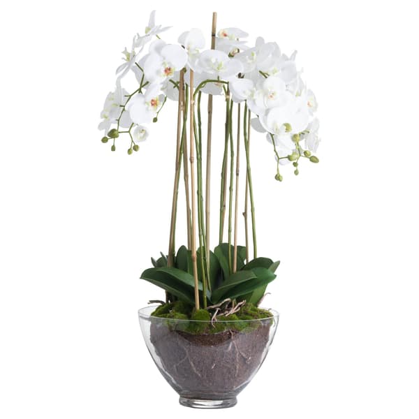 Hill Interiors Stor orkidé i glasvas One Size Vit White One Size