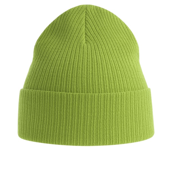 Atlantis Unisex Vuxen Nelson Ribbad Ekologisk Bomulls Mössa En Storlek Leaf Green One Size
