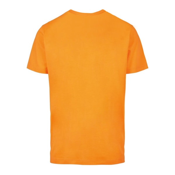 Bygg ditt varumärke T-shirt herr med rund hals 4XL Frozen Yellow Frozen Yellow 4XL