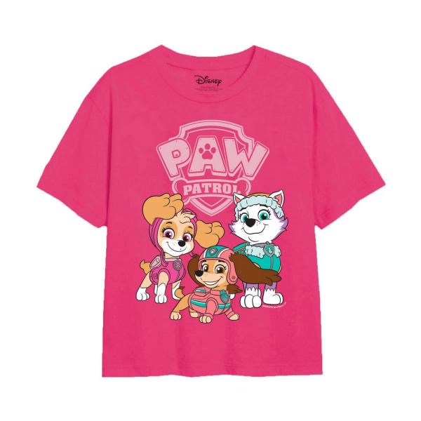 Paw Patrol Girls Skye, Justice & Everest Logo T-shirt 7-8 år Fuchsia 7-8 Years