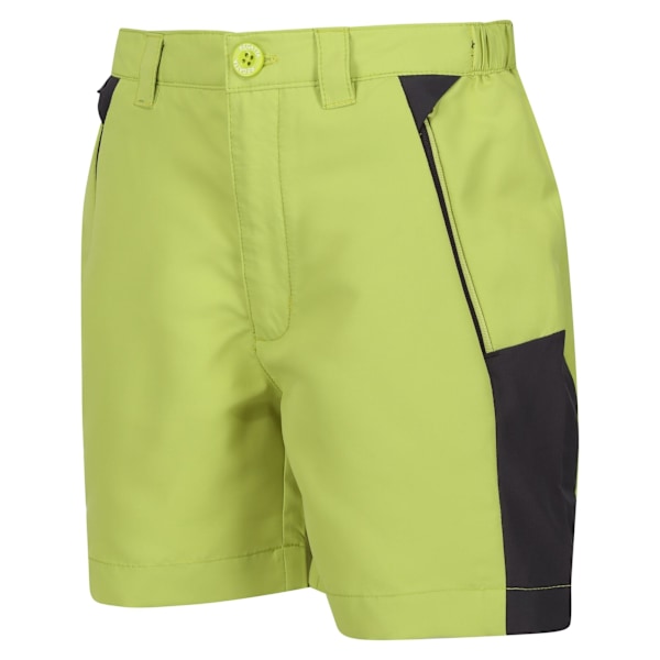 Regatta Sorcer Mountain III Shorts 15-16 år G Green Algae/Seal Grey 15-16 Years