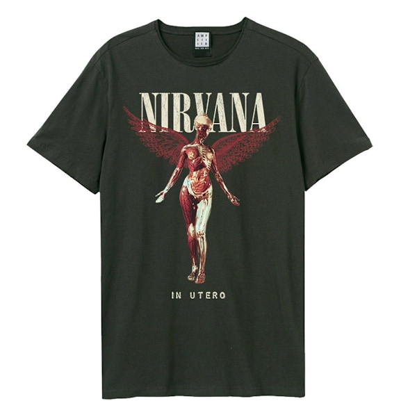 Amplified Unisex Adult In Utero Nirvana T-Shirt M Charcoal Charcoal M