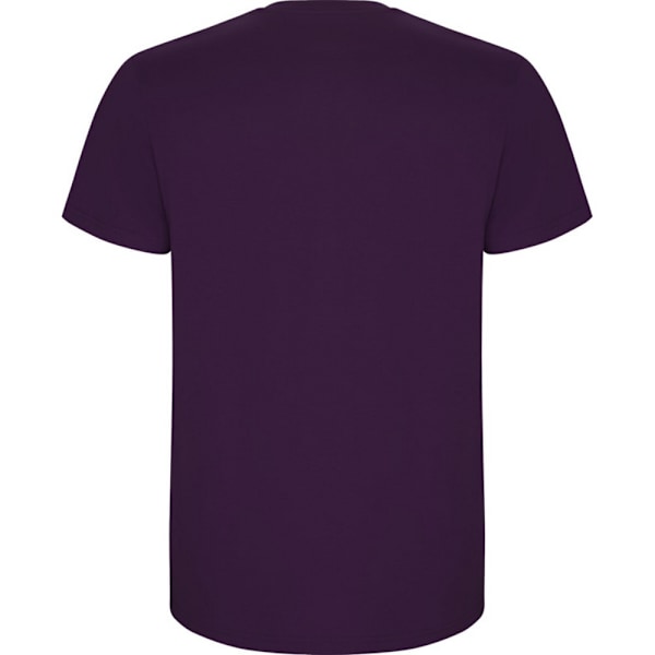 Roly Barn/Barn Stafford Kortärmad T-shirt 7-8 År Lila Purple 7-8 Years