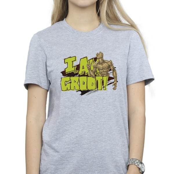 Guardians Of The Galaxy Dam/Damer I Am Groot Bomull Boyfrie Sports Grey L