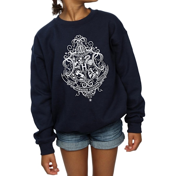 Harry Potter Girls Hogwarts Draco Dormiens Crest Sweatshirt 9-11 Navy Blue 9-11 Years