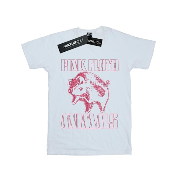 Pink Floyd Mens Animals Algie T-Shirt XXL Vit White XXL