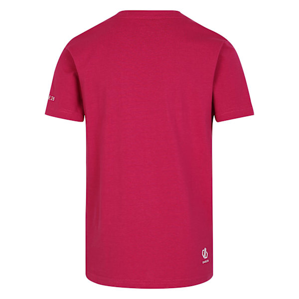 Dare 2B Barn/Barn Trailblazer II Happy T-Shirt 15-16 År Berry Pink 15-16 Years