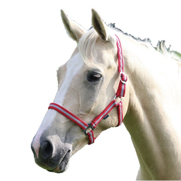 Wessex Horse Headcollar Pony Röd/Silver Red/Silver Pony
