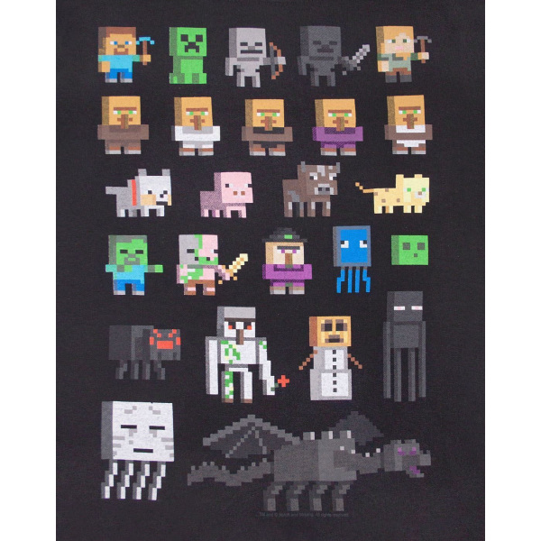 Minecraft Official Boys Sprites Characters T-shirt 7-8 år Bl Black 7-8 Years