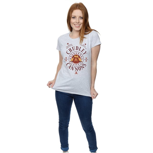 Harry Potter Dam/Dam Chudley Cannons Logotyp Bomull T-shirt Sports Grey L