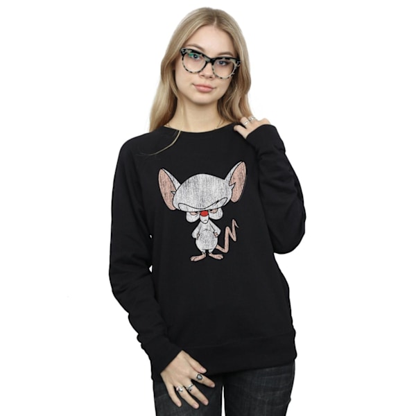 Animaniacs Dam/Damer The Brain Klassisk Pose Sweatshirt M Svart Black M