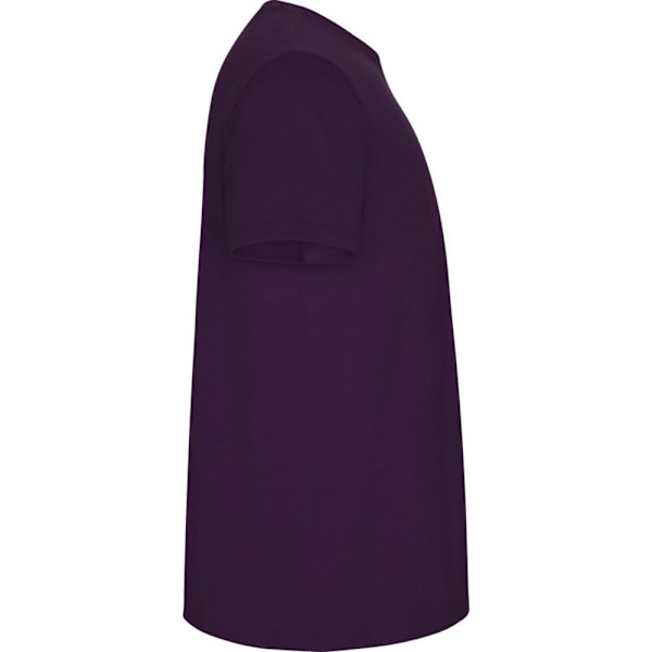 Roly Barn/Barn Stafford Kortärmad T-shirt 7-8 År Lila Purple 7-8 Years