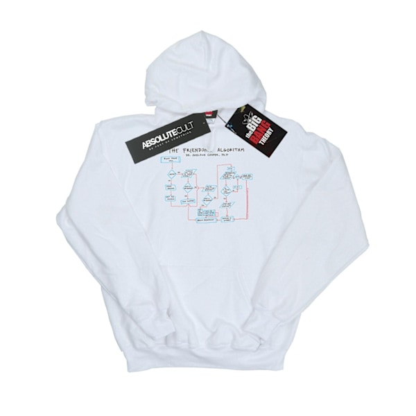 The Big Bang Theory Girls Friendship Algorithm Hoodie 9-11 år White 9-11 Years