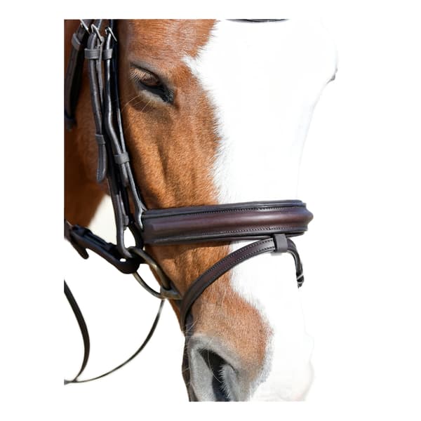 Collegiate Comfitec Läder Hästträns Varmblod Mörkbrun Dark Brown Warmblood