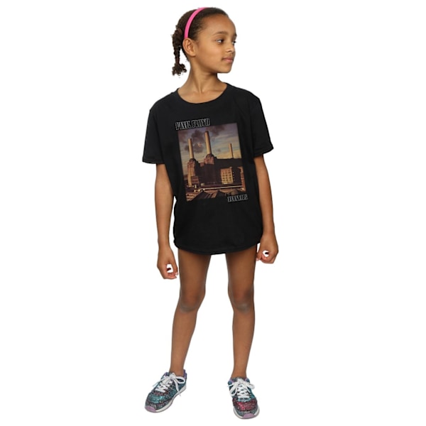 Pink Floyd Girls Animals Poster Bomull T-shirt 12-13 år Svart Black 12-13 Years