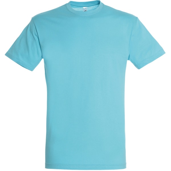 SOLS Regent kortärmad t-shirt för män M Aqua Aqua M